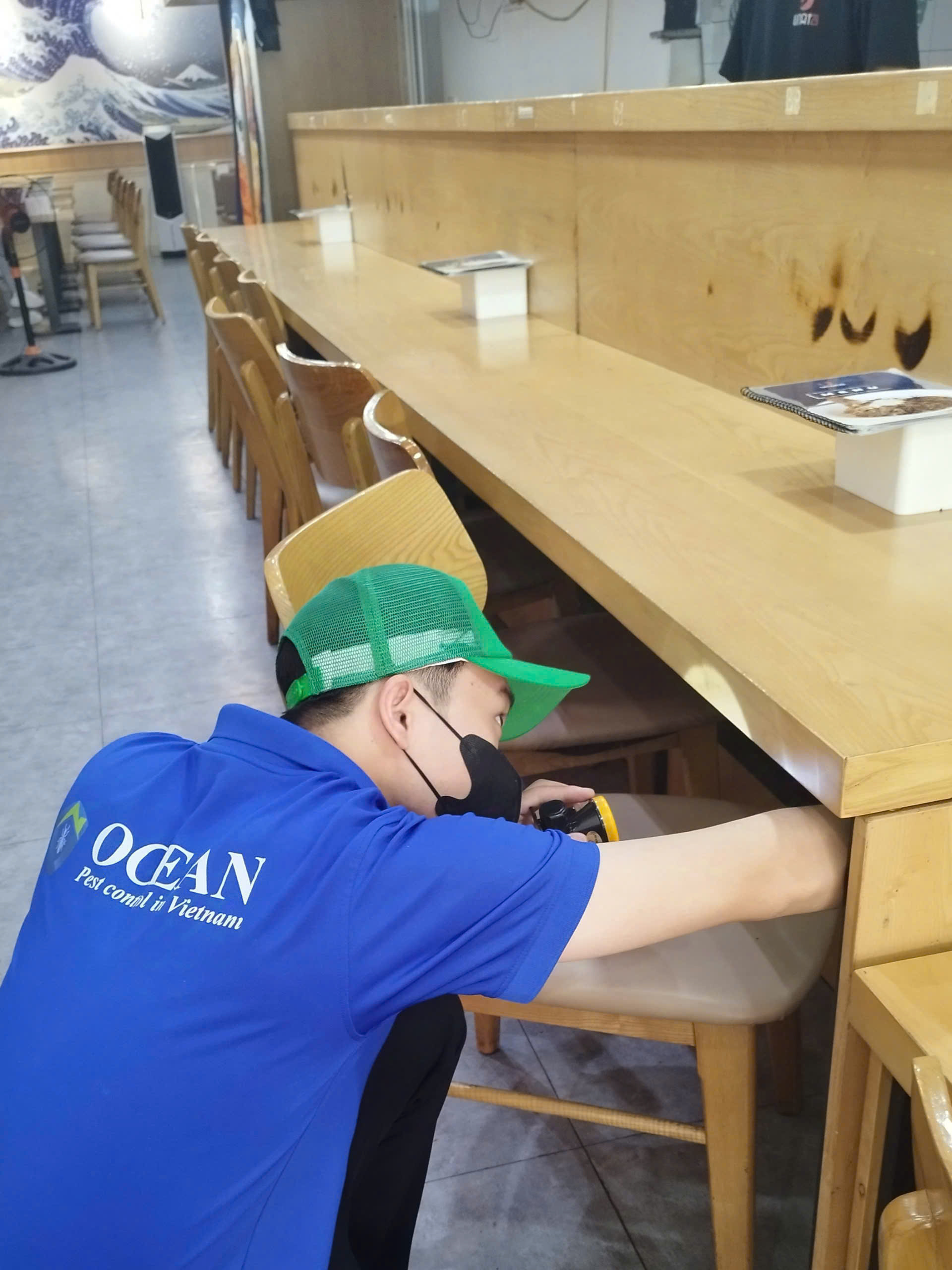 Dịch vụ diệt công trùng - Công Ty TNHH Nhà Đẹp Đại Dương
